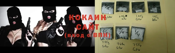 спиды Бородино