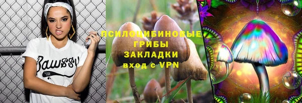 синтетический гашиш Богородицк