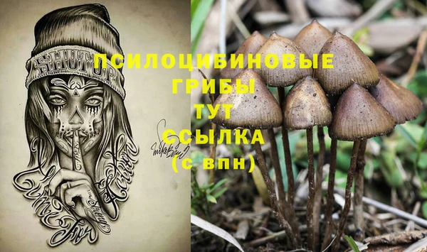 прущая мука Богданович