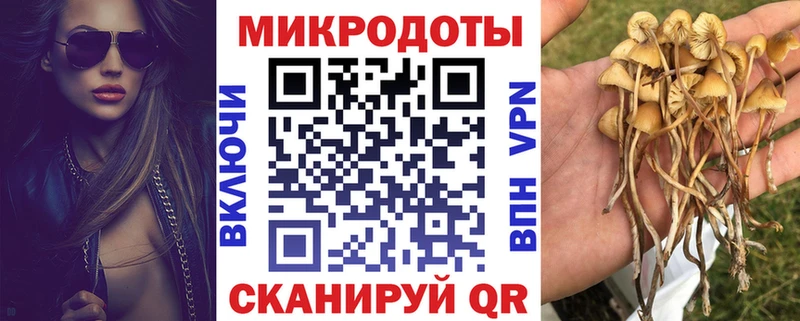 площадка состав  Нестеровская  Галлюциногенные грибы MAGIC MUSHROOMS 